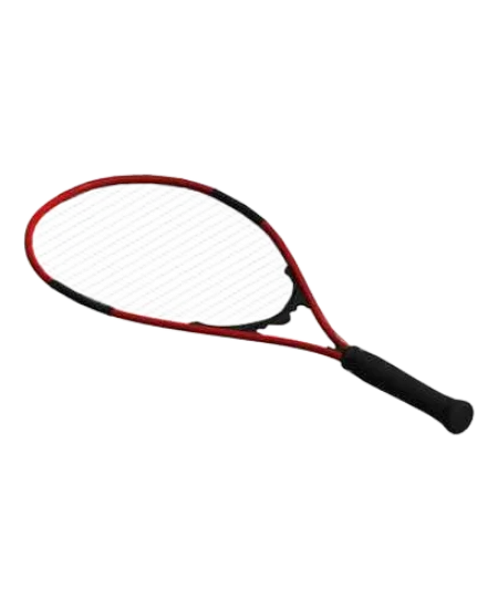 Raqueta de Tenis | families image