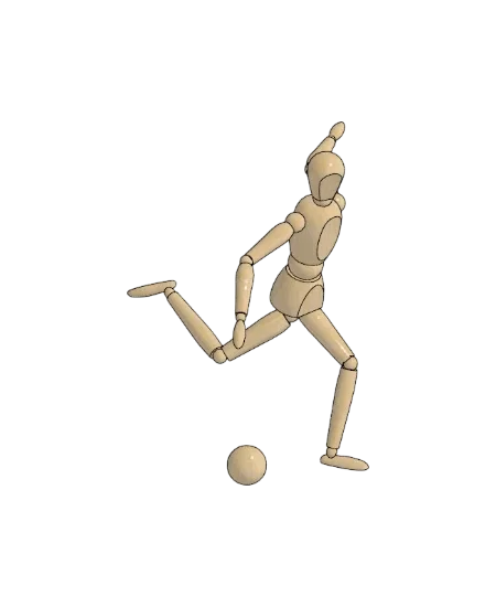 Athlete Mannequin | families image