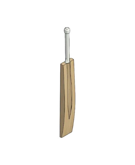 Cricket Bat | families image