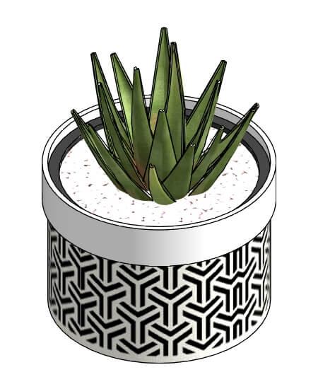 Vaso Étnico com Suculenta