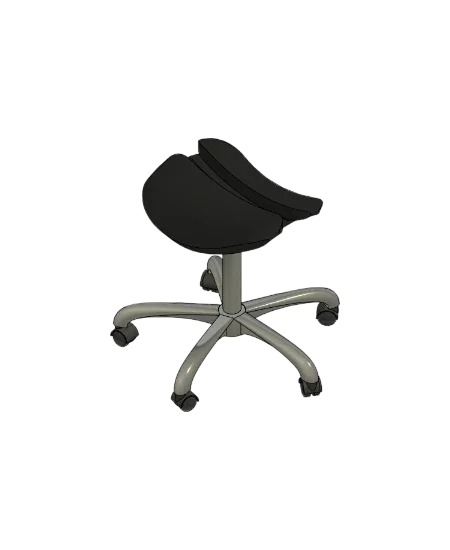 Anatomy Saddle Stool | families image