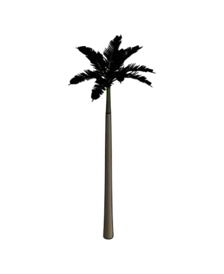 Imperial Palm | families image